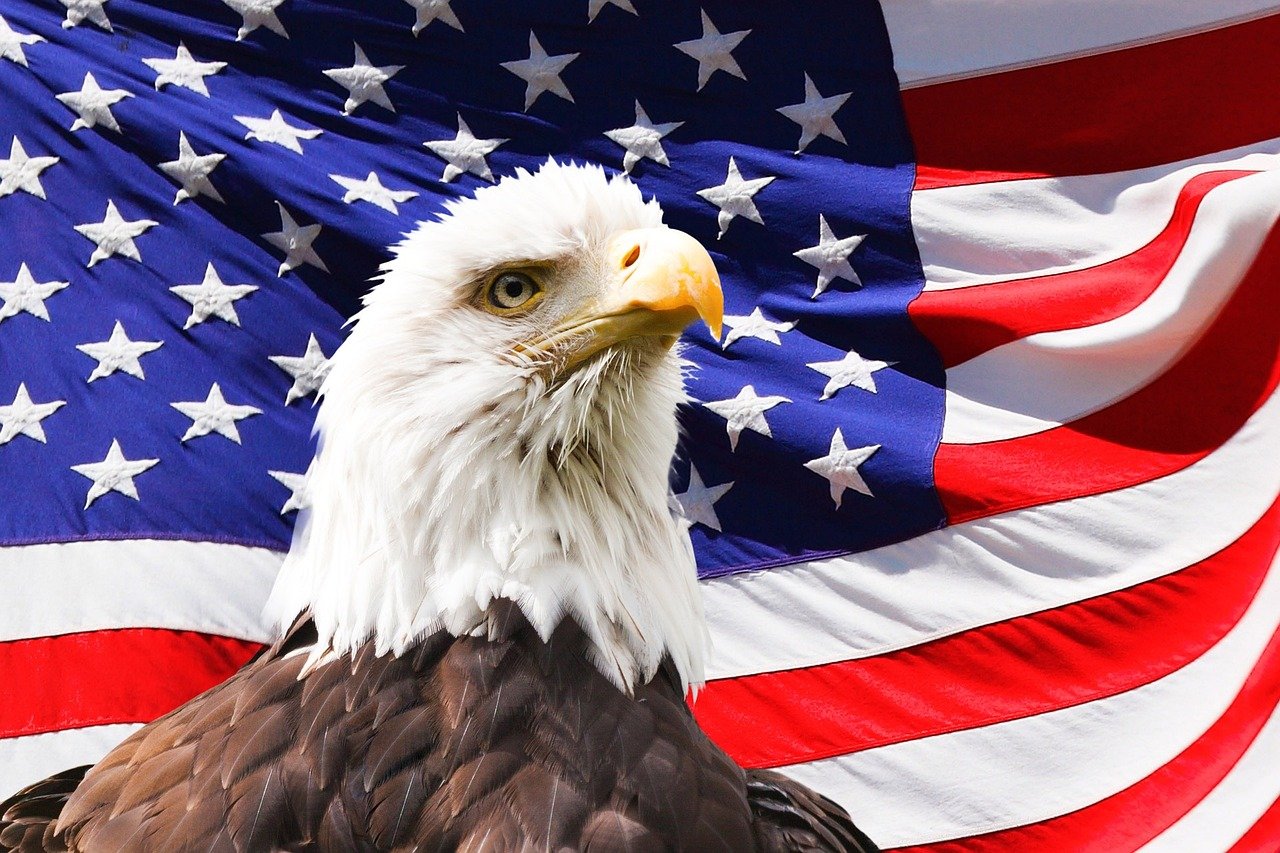 eagle, america, flag